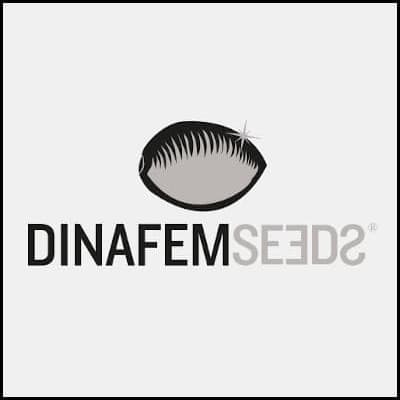 Brand: Dinafem Seeds Brand: Dinafem Seeds
