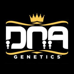 DNA Genetics DNA Genetics