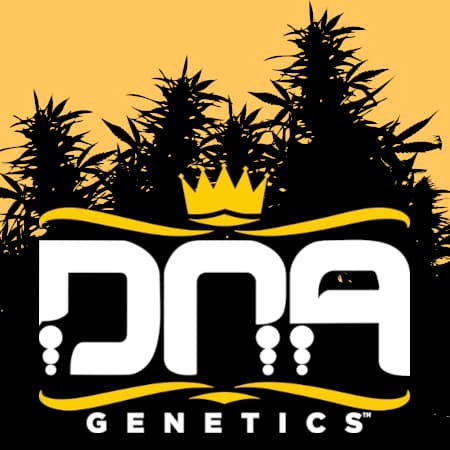 Marke: DNA Genetics Marke: DNA Genetics
