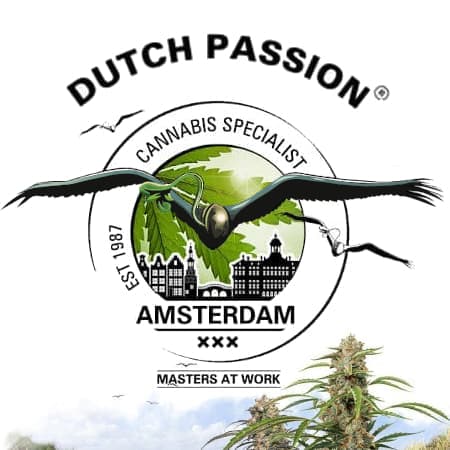 Dutch Passion Dutch Passion