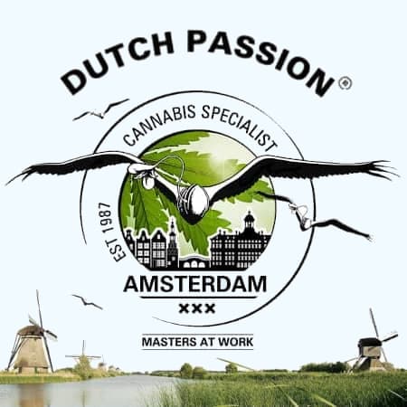Dutch Passion Dutch Passion