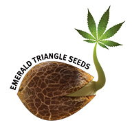 Emerald Triangle Emerald Triangle