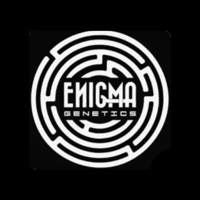 Marca: Enigma Genetics