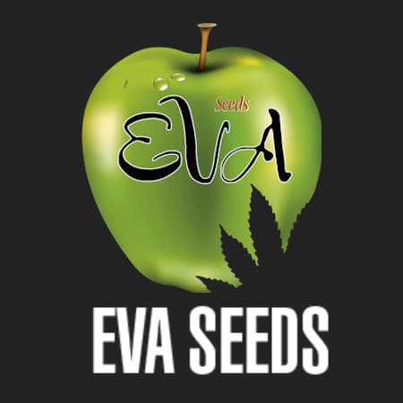 Marke: Eva Female Seeds Marke: Eva Female Seeds