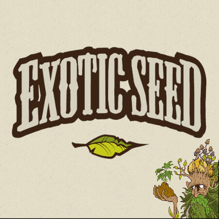 Marke: Exotic Seed Marke: Exotic Seed