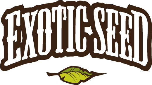 Exotic Seed Exotic Seed
