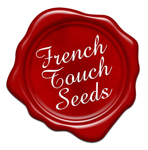 French Touch Seeds French Touch Seeds