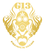 G13 Labs G13 Labs