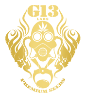 G13 Labs G13 Labs