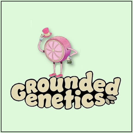 Grounded Genetics Grounded Genetics