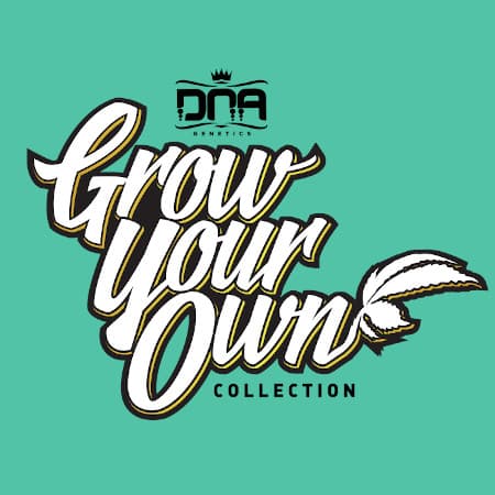 Grow Your Own