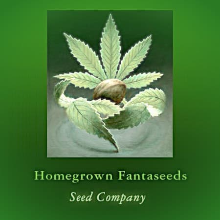 Homegrown Fantaseeds Homegrown Fantaseeds