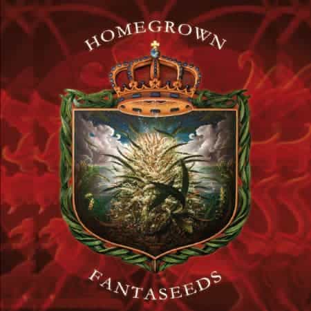 Marque: Homegrown Fantaseeds Marque: Homegrown Fantaseeds