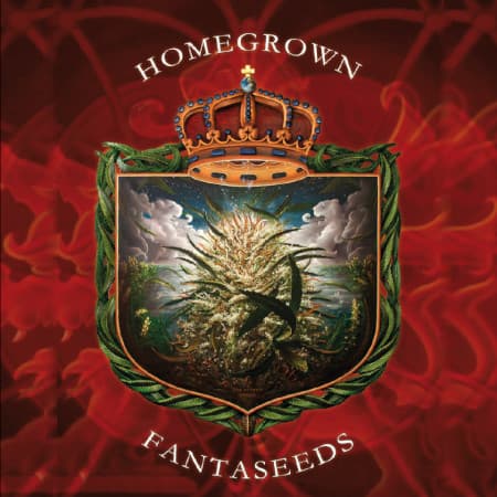Homegrown Fantaseeds Homegrown Fantaseeds