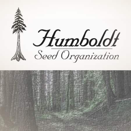 Humboldt Seed Organisation Humboldt Seed Organisation