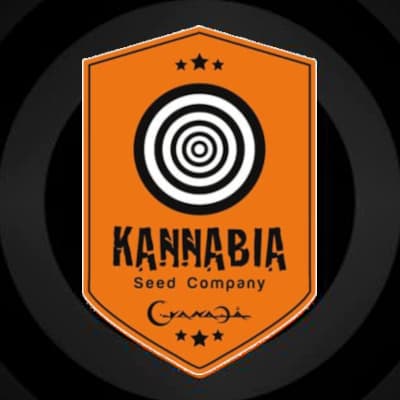 Kannabia Seeds