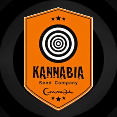 Kannabia Seeds