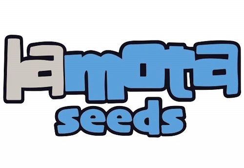 LaMota Seeds LaMota Seeds
