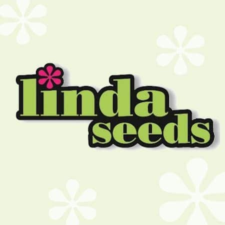 Marque: Linda Seeds Marque: Linda Seeds