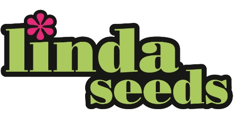 Linda Seeds Linda Seeds