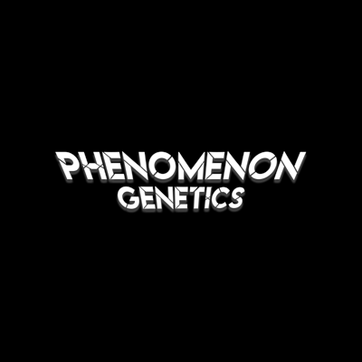 Phenomenon Genetics