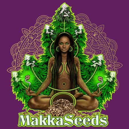 Makka Seeds