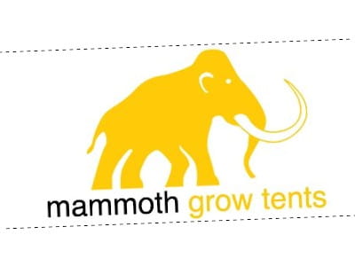 MAMMOTH