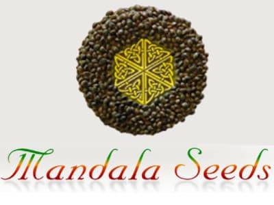 Mandala Seeds Mandala Seeds