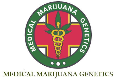 Medical Marijuana Genetics