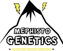 Mephisto Genetics Mephisto Genetics