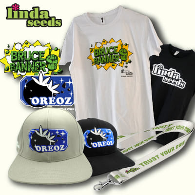 Brand: Merchandising