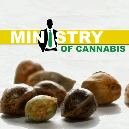 Ministry of Cannabis