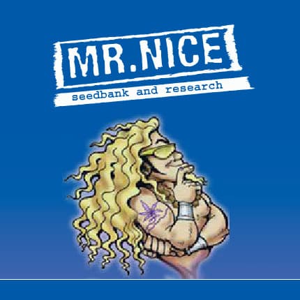 Mr Nice Seeds