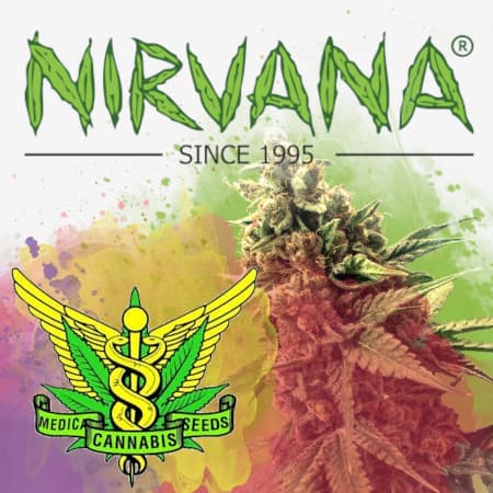 Nirvana