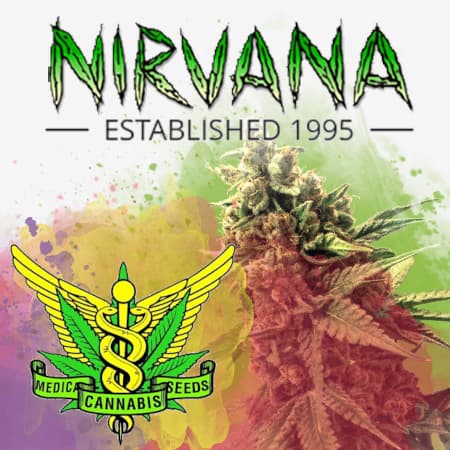 Nirvana