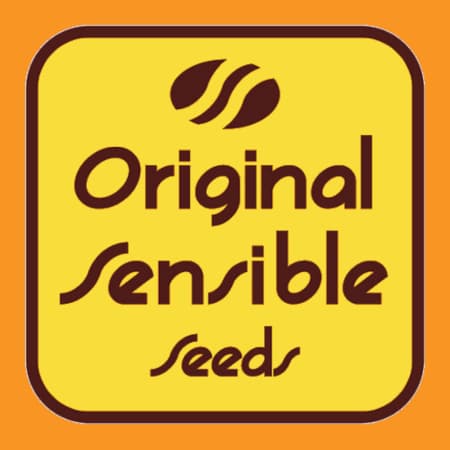 Original Sensible Seeds