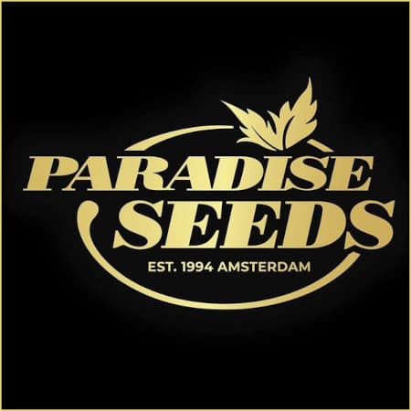 Marke: Paradise Seeds Marke: Paradise Seeds