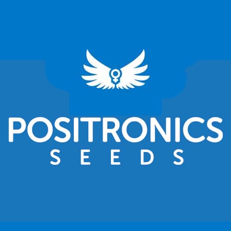 Positronics Positronics