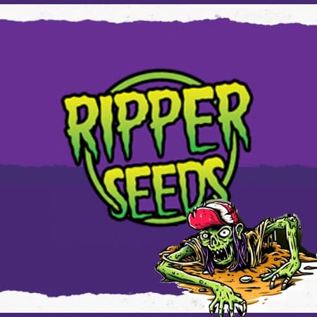 Marke: Ripper Seeds Marke: Ripper Seeds