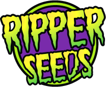 Ripper Seeds Ripper Seeds
