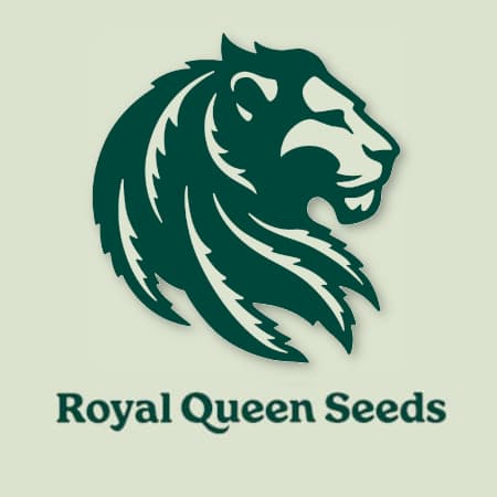 Royal Queen Seeds