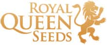 Royal Queen Seeds Royal Queen Seeds