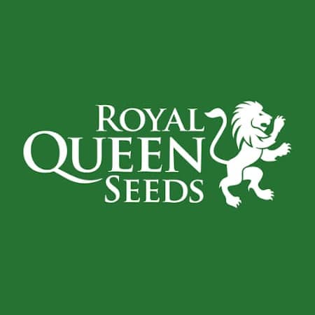 Royal Queen Seeds Royal Queen Seeds