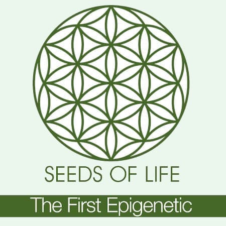 Seeds of Life