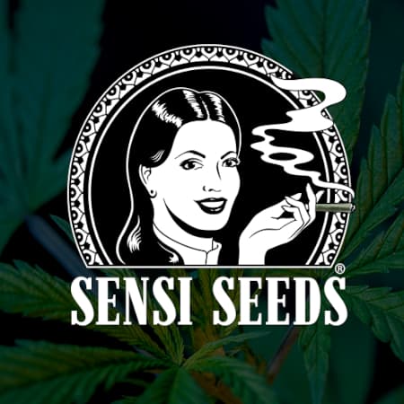 Sensi Seeds Sensi Seeds