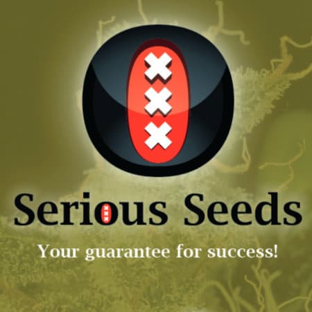 Serious Seeds Serious Seeds