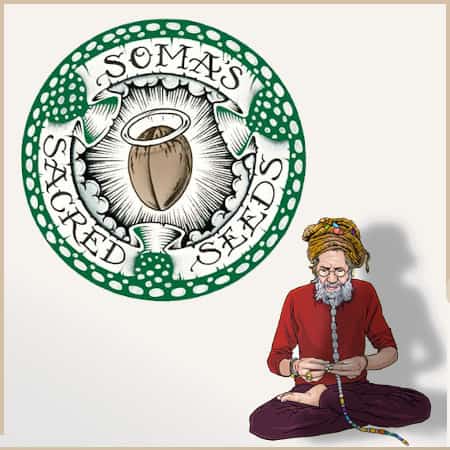 Soma Seeds Soma Seeds