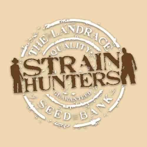 Strain Hunters Seed Bank