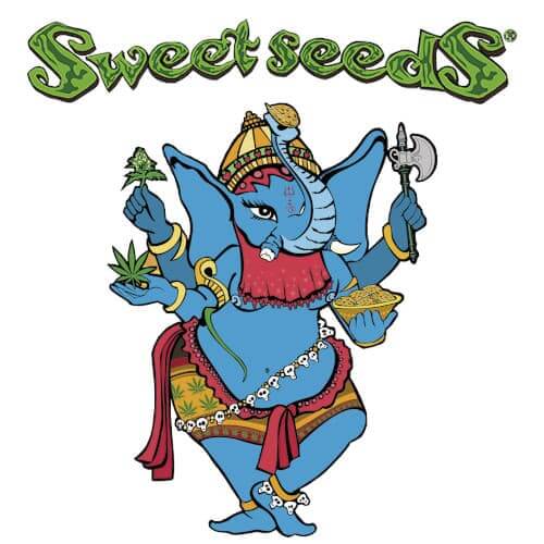 Sweet Seeds Sweet Seeds