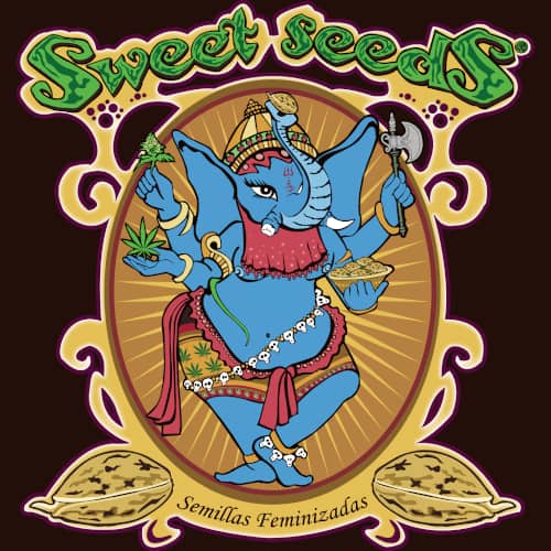 Sweet Seeds Sweet Seeds